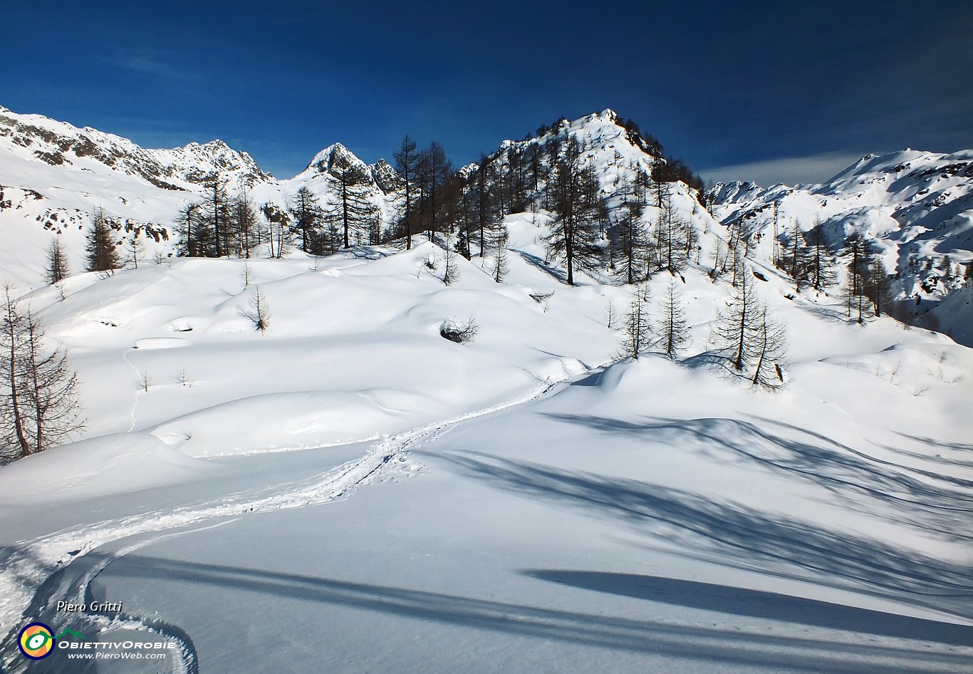 38 la traccia nella neve , fortuna mia, continua.JPG